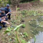 air cadets observe new pond flora